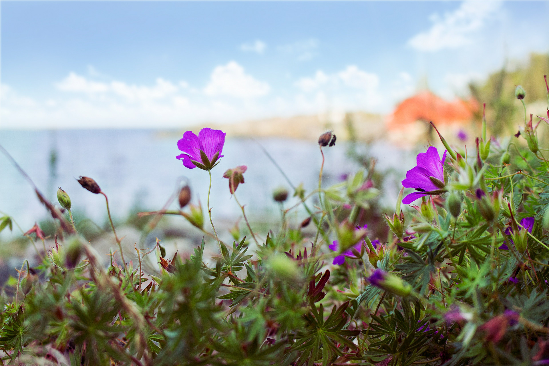 Flytande färger — Ninni Sällström